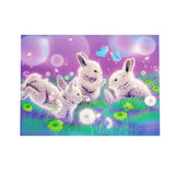 Maxbell 1 Set Beautiful Diamond Paniting Kit Cross Stitch Picture Handcraft Rabbit