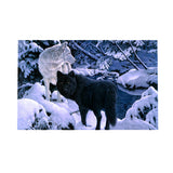 Maxbell DIY 5D Diamond Embroidery Painting Cross Stitch Kit Animal Decor Wolf