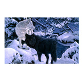 Maxbell DIY 5D Diamond Embroidery Painting Cross Stitch Kit Animal Decor Wolf