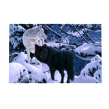 Maxbell DIY 5D Diamond Embroidery Painting Cross Stitch Kit Animal Decor Wolf