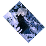 Maxbell DIY 5D Diamond Embroidery Painting Cross Stitch Kit Animal Decor Wolf