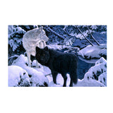 Maxbell DIY 5D Diamond Embroidery Painting Cross Stitch Kit Animal Decor Wolf