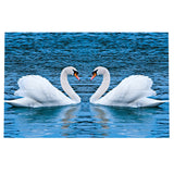 Maxbell DIY 5D Diamond Embroidery Painting Cross Stitch Kit Animal Decor Swan