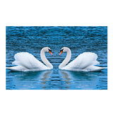 Maxbell DIY 5D Diamond Embroidery Painting Cross Stitch Kit Animal Decor Swan