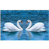Maxbell DIY 5D Diamond Embroidery Painting Cross Stitch Kit Animal Decor Swan