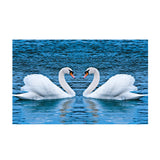Maxbell DIY 5D Diamond Embroidery Painting Cross Stitch Kit Animal Decor Swan