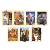 Maxbell DIY 5D Diamond Painting Embroidery Cross Stitch for Home Decor White Tiger