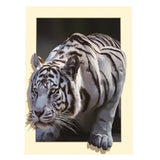 Maxbell DIY 5D Diamond Painting Embroidery Cross Stitch for Home Decor White Tiger