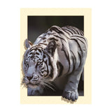 Maxbell DIY 5D Diamond Painting Embroidery Cross Stitch for Home Decor White Tiger
