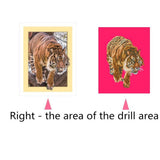Maxbell DIY 5D Diamond Painting Embroidery Cross Stitch for Home Decor Tiger 1
