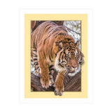 Maxbell DIY 5D Diamond Painting Embroidery Cross Stitch for Home Decor Tiger 1