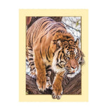 Maxbell DIY 5D Diamond Painting Embroidery Cross Stitch for Home Decor Tiger 1