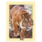 Maxbell DIY 5D Diamond Painting Embroidery Cross Stitch for Home Decor Tiger 1