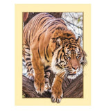 Maxbell DIY 5D Diamond Painting Embroidery Cross Stitch for Home Decor Tiger 1