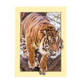 Maxbell DIY 5D Diamond Painting Embroidery Cross Stitch for Home Decor Tiger 1
