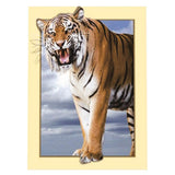 Maxbell DIY 5D Diamond Painting Embroidery Cross Stitch for Home Decor Tiger 2