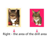 Maxbell DIY 5D Diamond Painting Embroidery Cross Stitch for Home Decor Cat