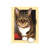 Maxbell DIY 5D Diamond Painting Embroidery Cross Stitch for Home Decor Cat