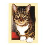 Maxbell DIY 5D Diamond Painting Embroidery Cross Stitch for Home Decor Cat