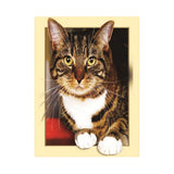 Maxbell DIY 5D Diamond Painting Embroidery Cross Stitch for Home Decor Cat