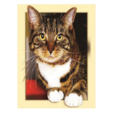 Maxbell DIY 5D Diamond Painting Embroidery Cross Stitch for Home Decor Cat