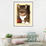 Maxbell DIY 5D Diamond Painting Embroidery Cross Stitch for Home Decor Cat