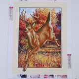 Maxbell DIY 5D Diamond Painting Embroidery Cross Stitch for Home Decor Antelope