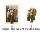 Maxbell DIY 5D Diamond Painting Embroidery Cross Stitch for Home Decor Bear