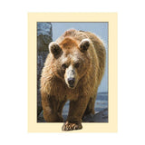 Maxbell DIY 5D Diamond Painting Embroidery Cross Stitch for Home Decor Bear