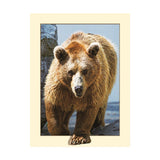 Maxbell DIY 5D Diamond Painting Embroidery Cross Stitch for Home Decor Bear
