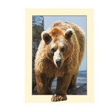 Maxbell DIY 5D Diamond Painting Embroidery Cross Stitch for Home Decor Bear