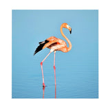 Maxbell 1 Set Daimond Painting Kit Lovely Animal Picture for Wall Decor Flamingos