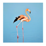 Maxbell 1 Set Daimond Painting Kit Lovely Animal Picture for Wall Decor Flamingos
