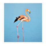 Maxbell 1 Set Daimond Painting Kit Lovely Animal Picture for Wall Decor Flamingos