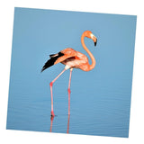 Maxbell 1 Set Daimond Painting Kit Lovely Animal Picture for Wall Decor Flamingos