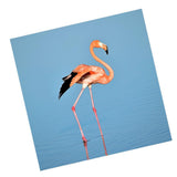 Maxbell 1 Set Daimond Painting Kit Lovely Animal Picture for Wall Decor Flamingos
