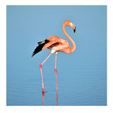 Maxbell 1 Set Daimond Painting Kit Lovely Animal Picture for Wall Decor Flamingos