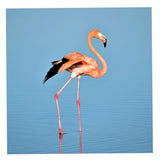 Maxbell 1 Set Daimond Painting Kit Lovely Animal Picture for Wall Decor Flamingos