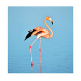 Maxbell 1 Set Daimond Painting Kit Lovely Animal Picture for Wall Decor Flamingos