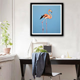 Maxbell 1 Set Daimond Painting Kit Lovely Animal Picture for Wall Decor Flamingos