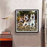 Maxbell 1 Set Daimond Painting Kit Lovely Animal Picture for Wall Decor Dog and Cat