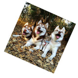 Maxbell 1 Set Daimond Painting Kit Lovely Animal Picture for Wall Decor Dog and Cat