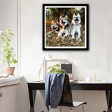 Maxbell 1 Set Daimond Painting Kit Lovely Animal Picture for Wall Decor Dog and Cat