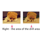 Maxbell 1 Set Beautiful Diamond Paniting Kit Cross Stitch Picture Handcraft Cute Dog