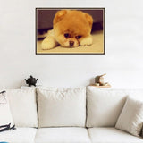 Maxbell 1 Set Beautiful Diamond Paniting Kit Cross Stitch Picture Handcraft Cute Dog