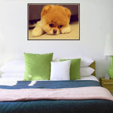 Maxbell 1 Set Beautiful Diamond Paniting Kit Cross Stitch Picture Handcraft Cute Dog