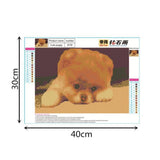 Maxbell 1 Set Beautiful Diamond Paniting Kit Cross Stitch Picture Handcraft Cute Dog