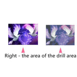 Maxbell 1 Set Beautiful Diamond Paniting Kit Cross Stitch Picture Handcraft Pigeon