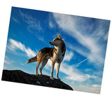 Maxbell DIY Diamond Painting Embroidery Cross Crafts Stitch Kit Wolf