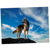 Maxbell DIY Diamond Painting Embroidery Cross Crafts Stitch Kit Wolf